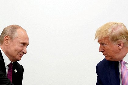 На Западе поговоркой высказались о переговорах Трампа и Путина