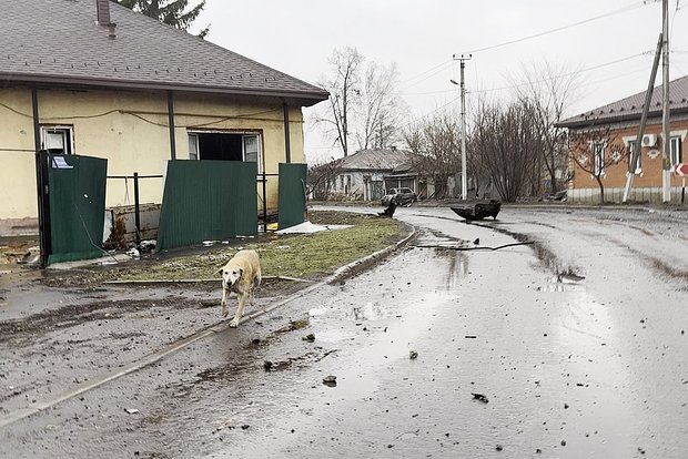 Вводная картинка
