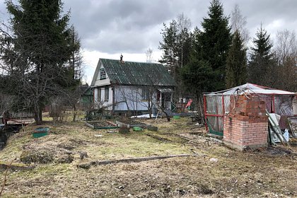 Дачников предупредили об опасных последствиях похолодания в Москве