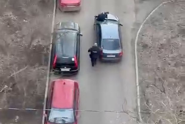 Вводная картинка