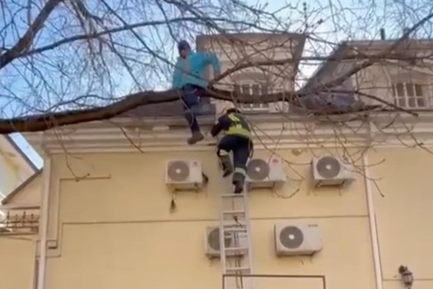 Вводная картинка