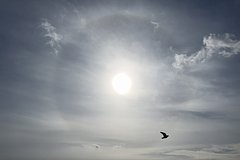 Архивное фото