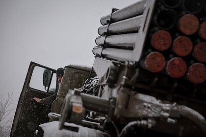 В российском регионе нашли необычные грибы