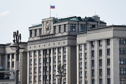 В Госдуме предложили готовить к семейной жизни с детского сада