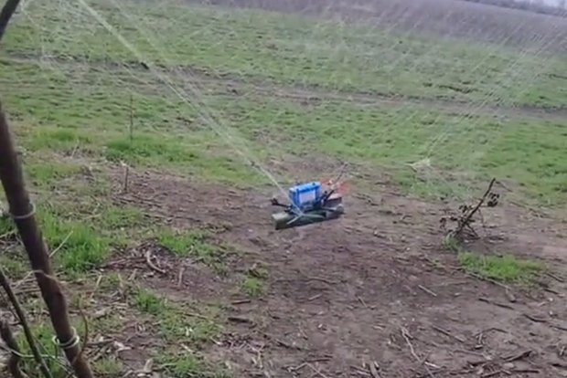 Вводная картинка