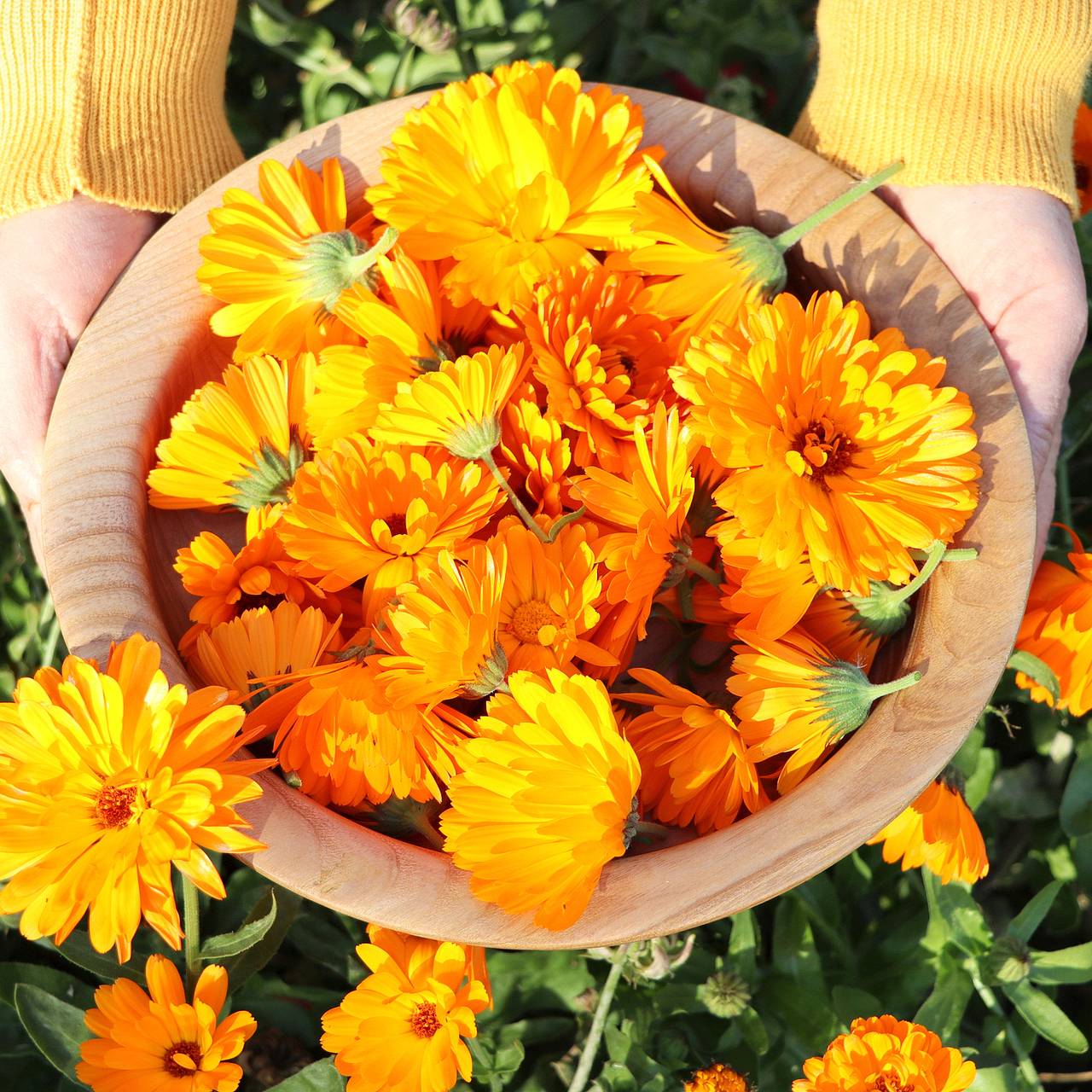 Novy Urengoyda bir kecha-kunduzlik