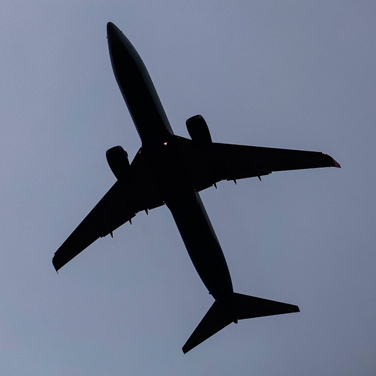 Фото: Екатерина Якель / «Лента.ру»