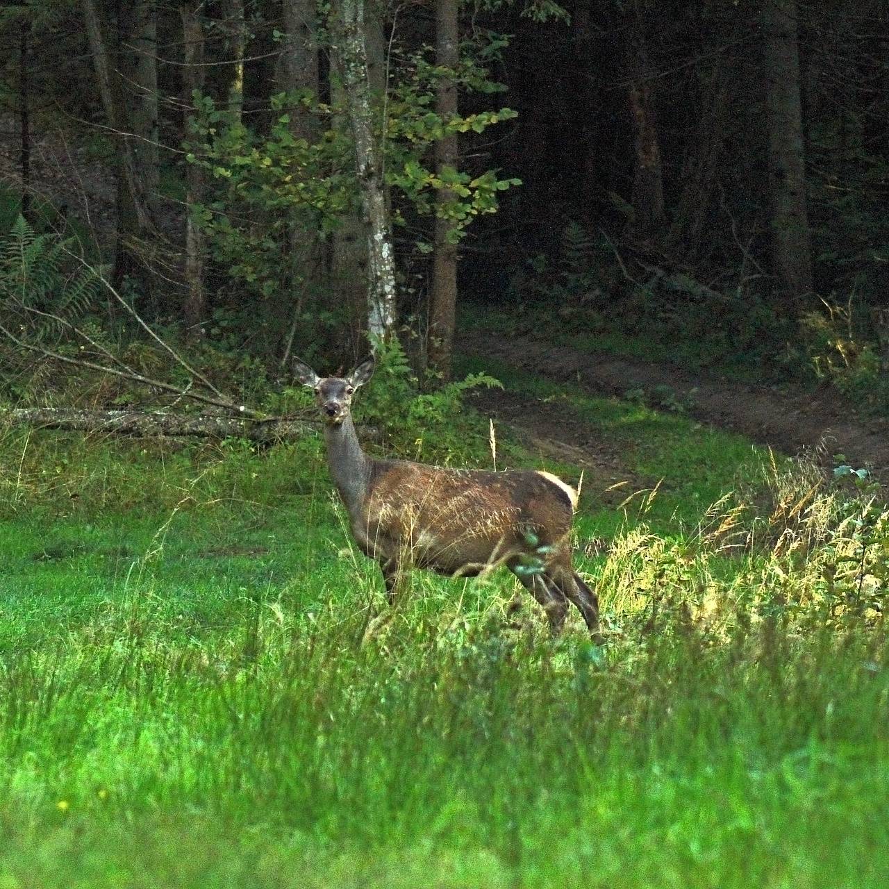  Фото: jakov kolesnikov / Shutterstock / Fotodom 