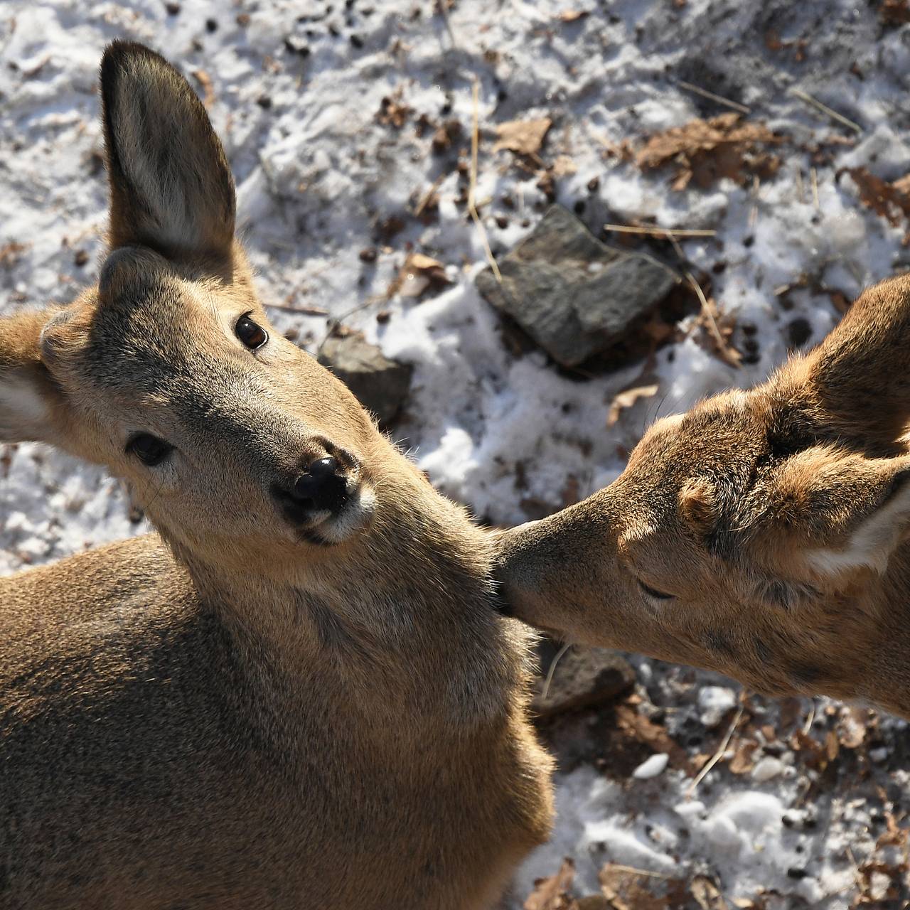 Фото: Виталий Аньков / РИА Новости