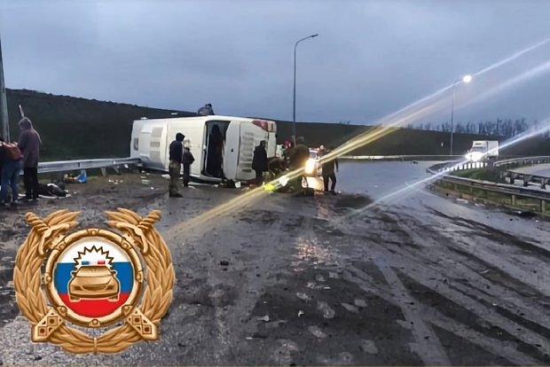 Вводная картинка