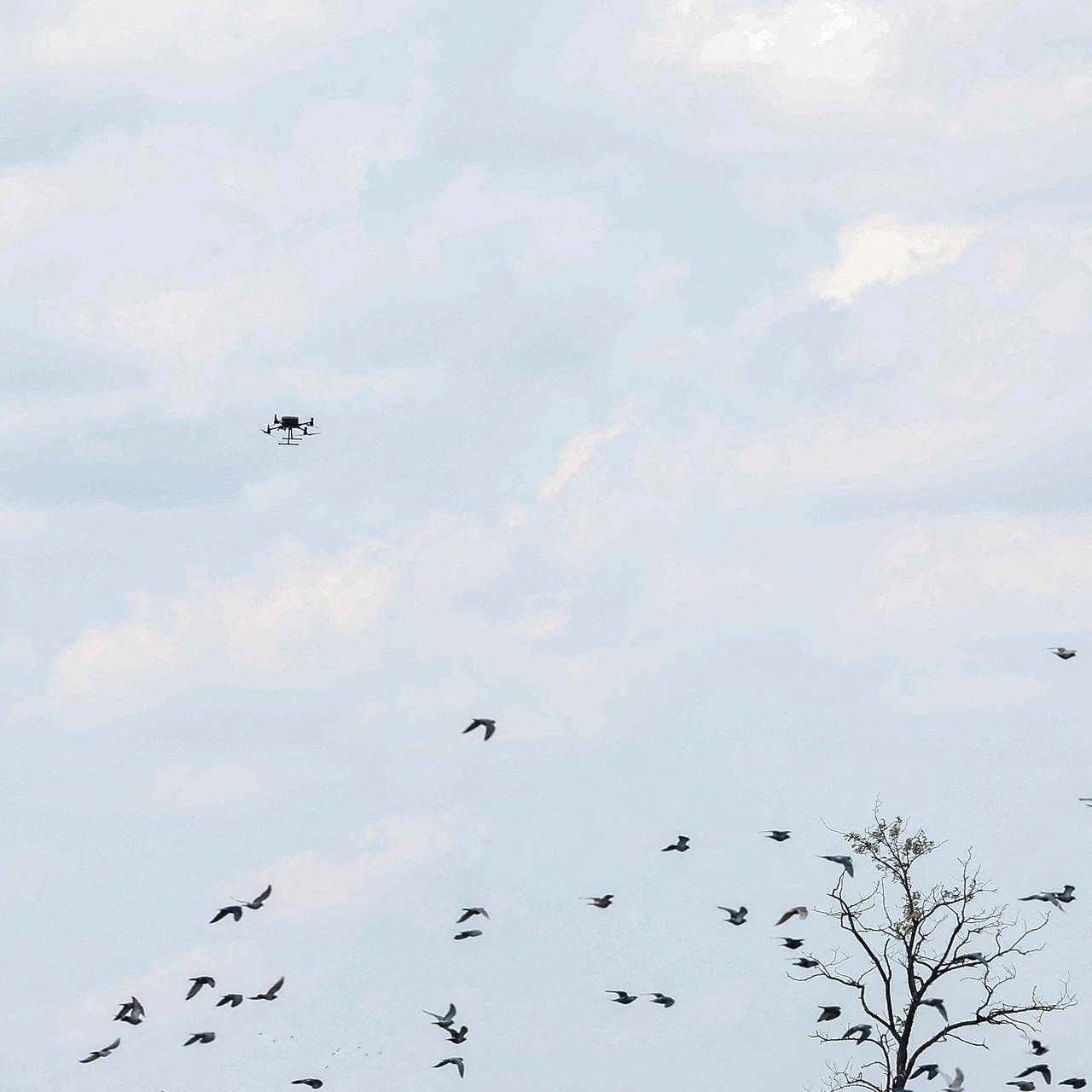 Фото: Valentyn Ogirenko / Reuters