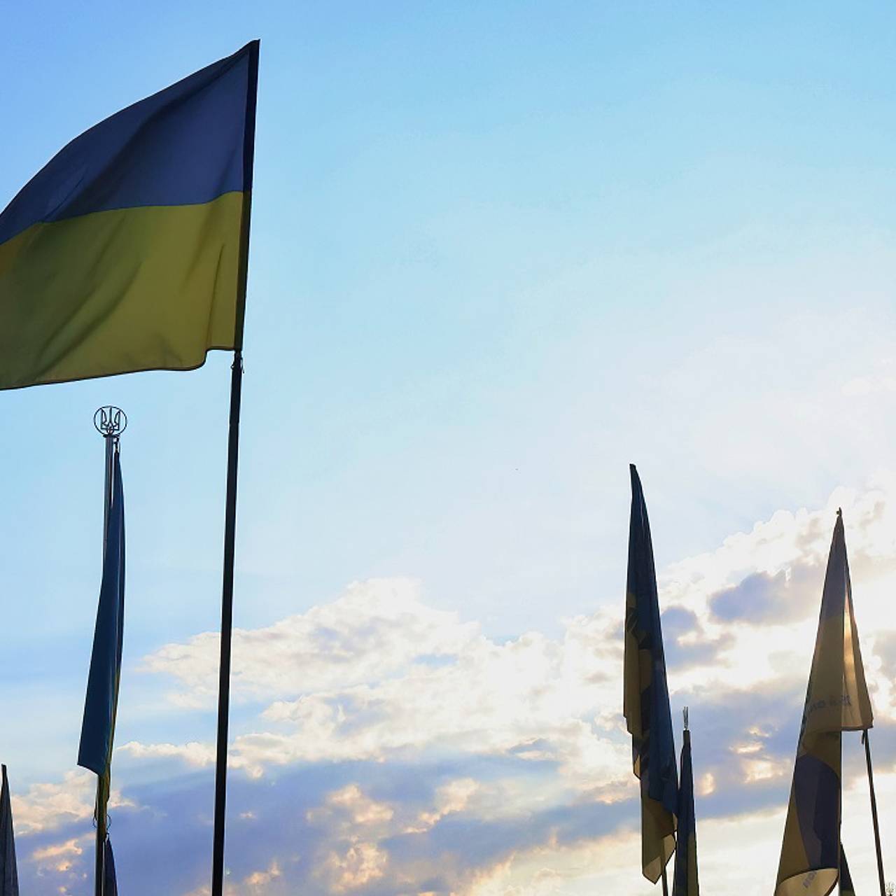 Фото: Aleksandr Gusev / Global Look Press