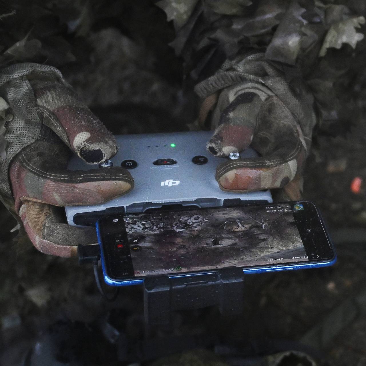 Фото: Алексей Майшев / РИА Новости