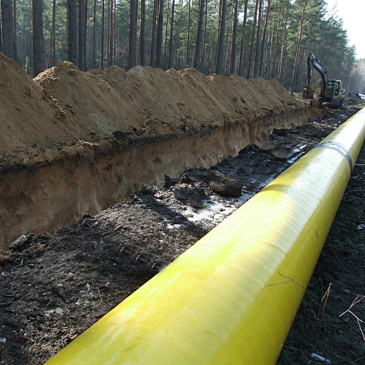 Фото: Victor Lisitsyn / Global Look Press