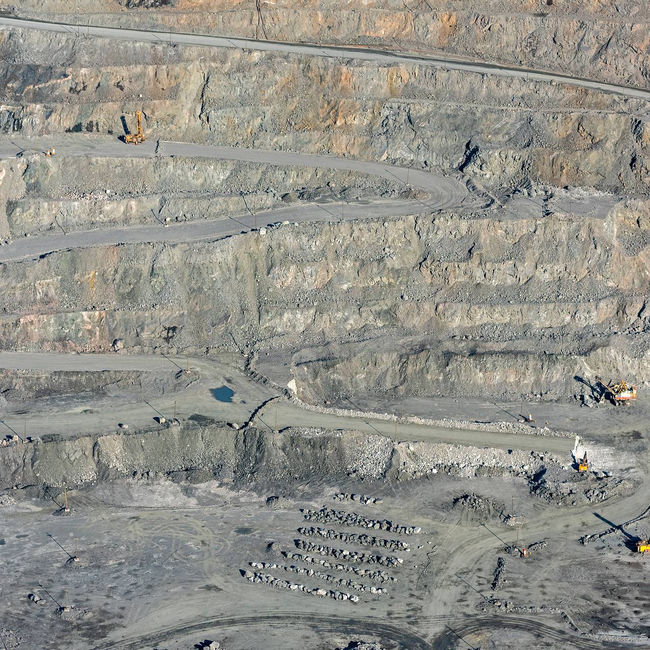 Фото: Serguei Fomine / Globallookpress.com