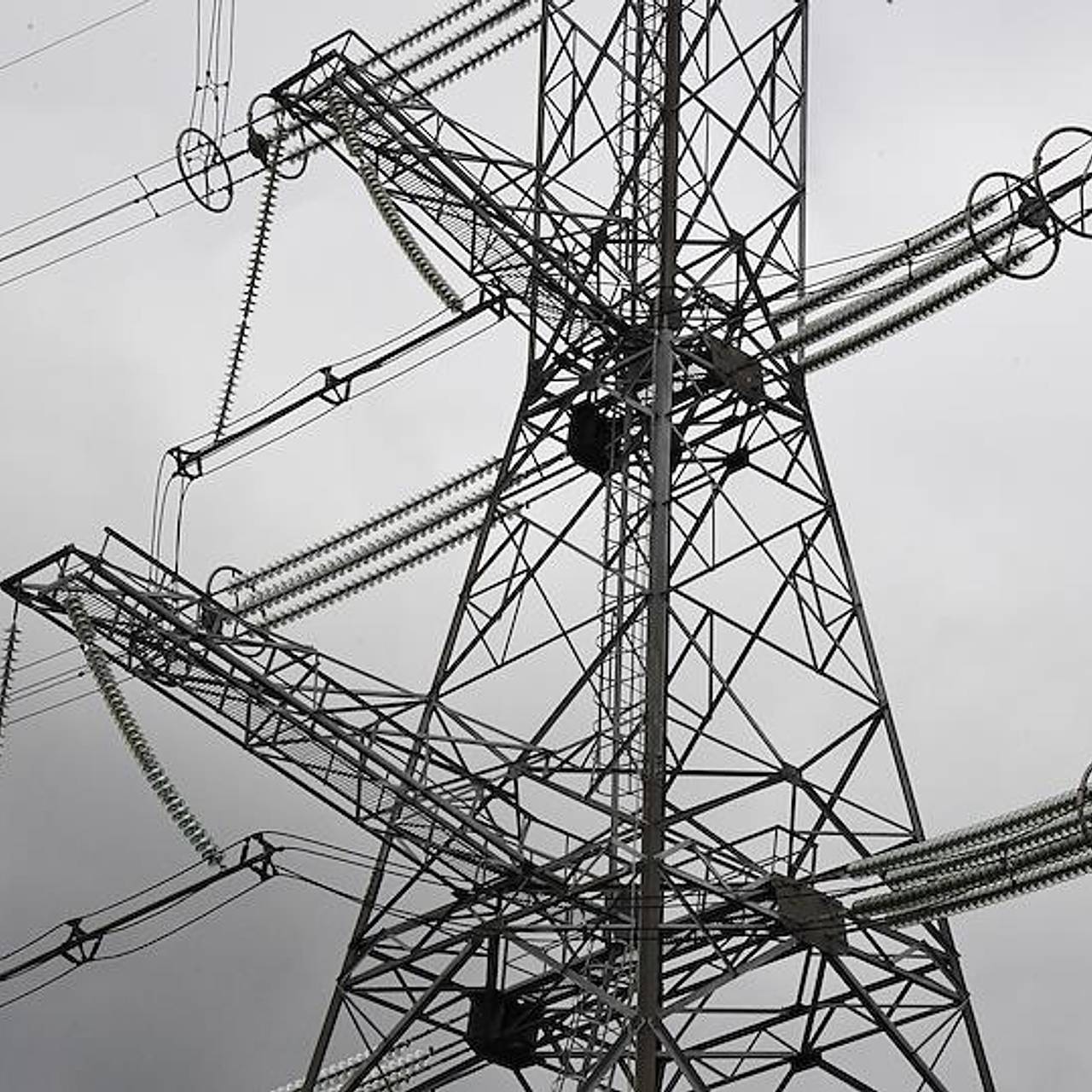 Фото: Анатолий Жданов / Коммерсантъ