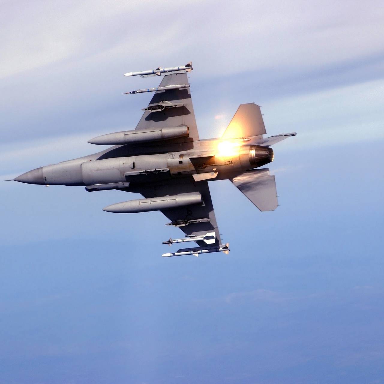 Фото: Stocktrek Images / Getty Images