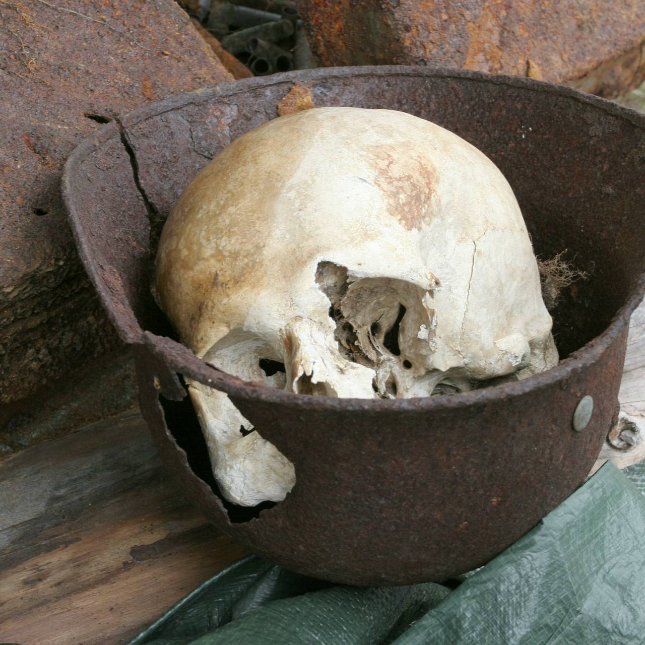 Фото: Zamir Usmanov / Global Look Press