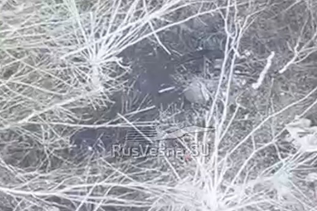 Вводная картинка