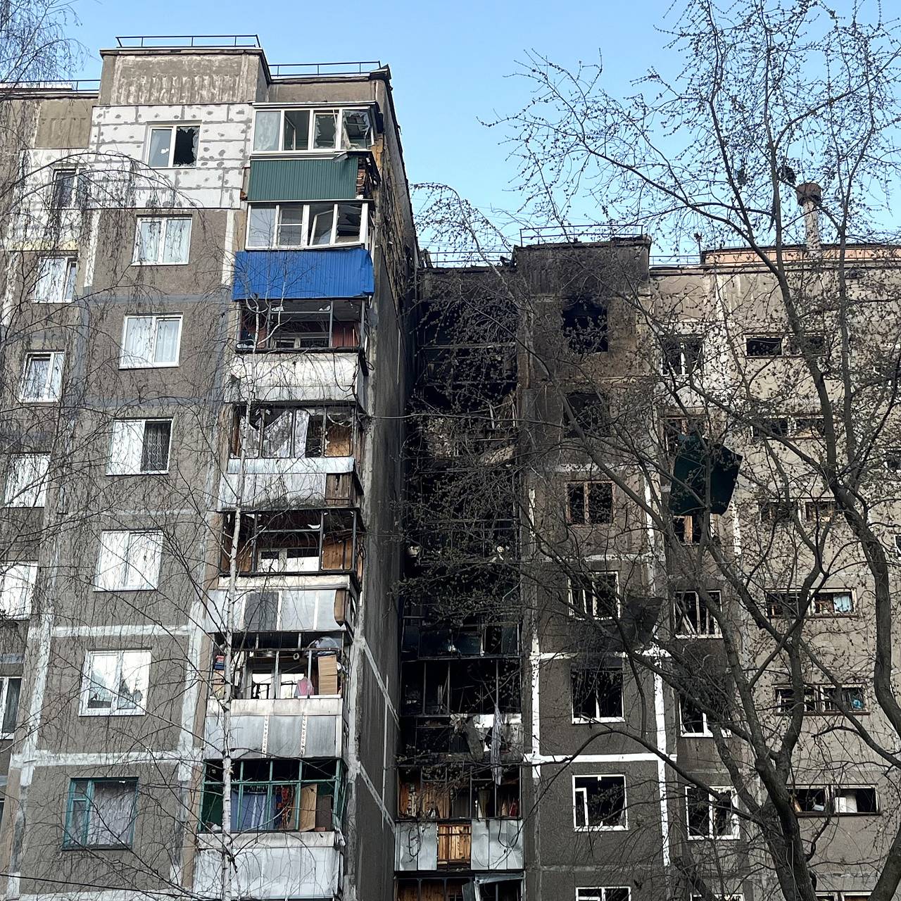 Фото: Егор Горожанкин / ТАСС