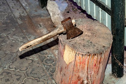 Зарубившая своих троих детей россиянка признала вину и отказалась от дачи показаний