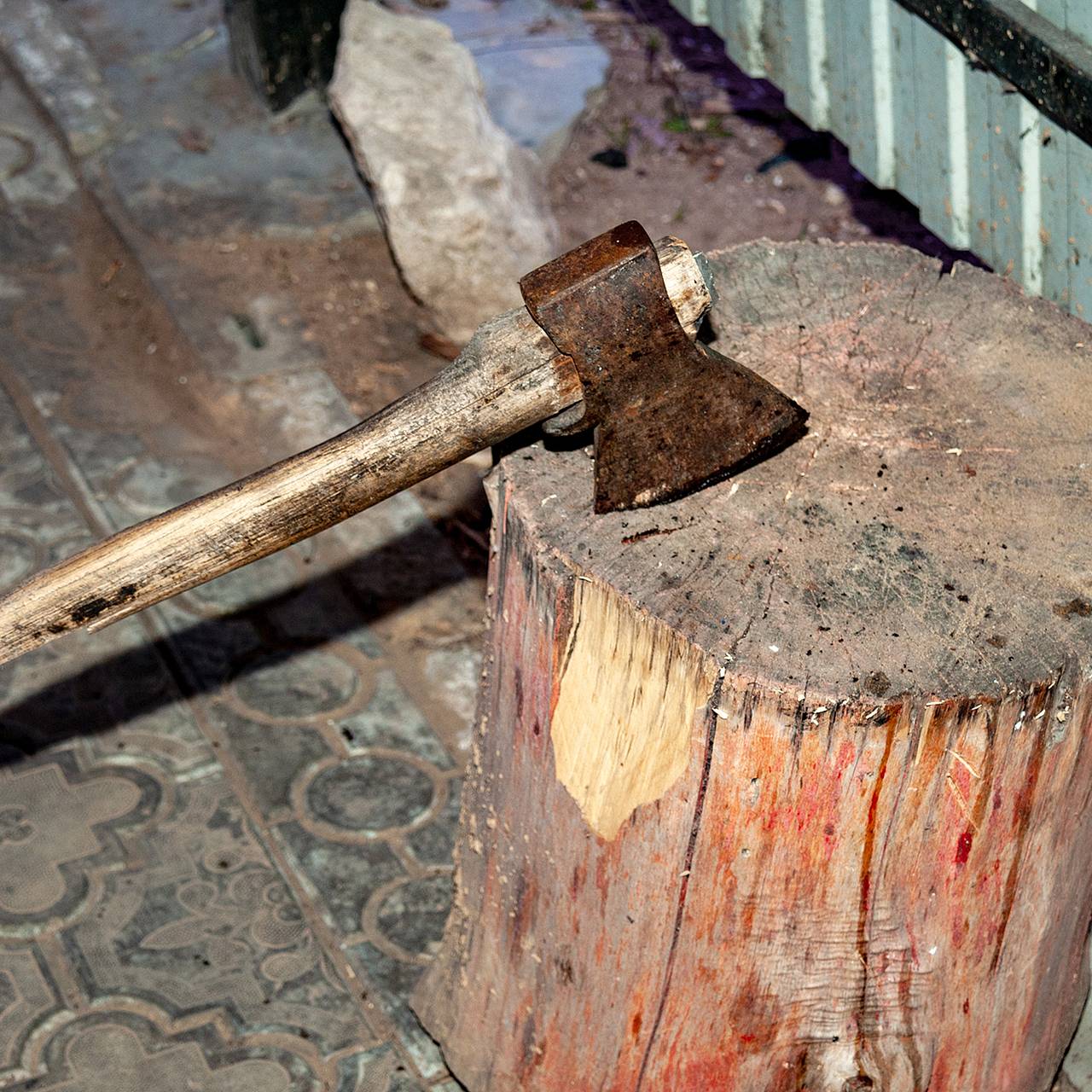 Фото: Svetlana Vozmilova / Globallookpress.com