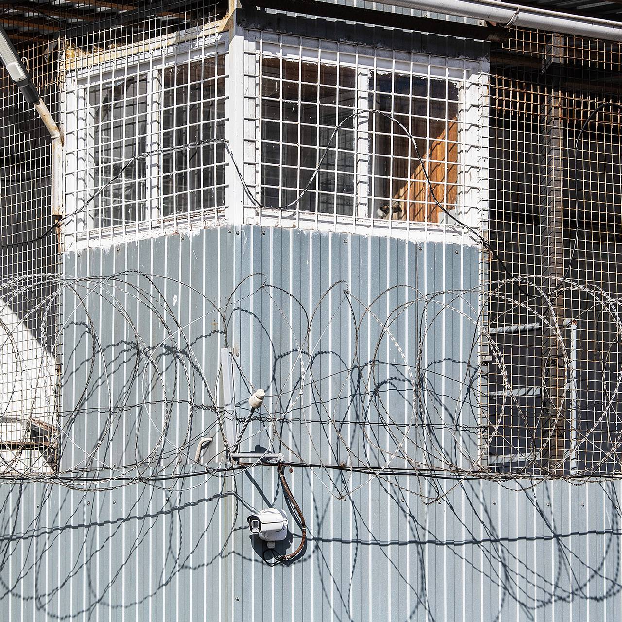 Фото: Ilya Moskovets / URA.RU / Globallookpress.com