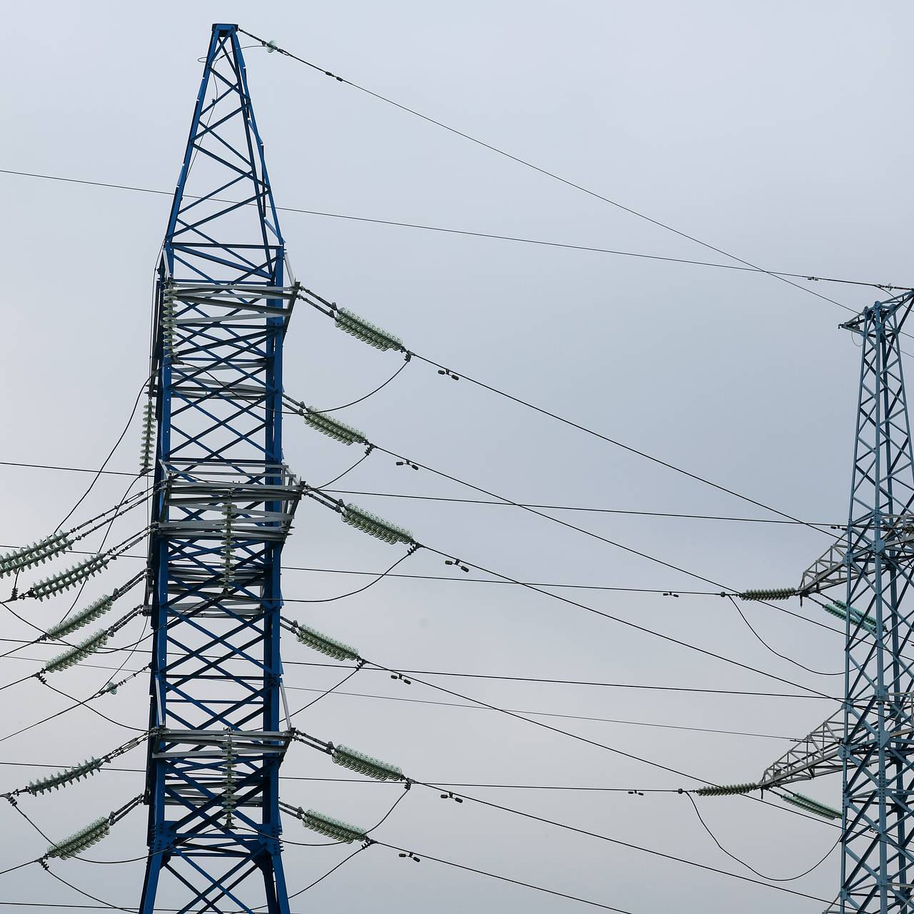 Фото: Belkin Alexey / news.ru / Globallookpress.com