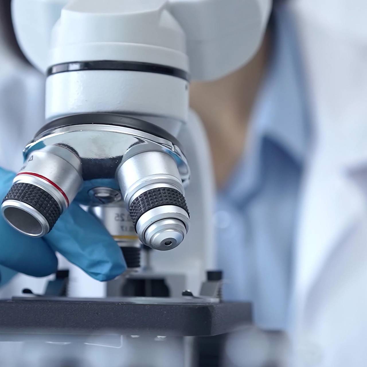 Фото: Shutterstock / Fotodom