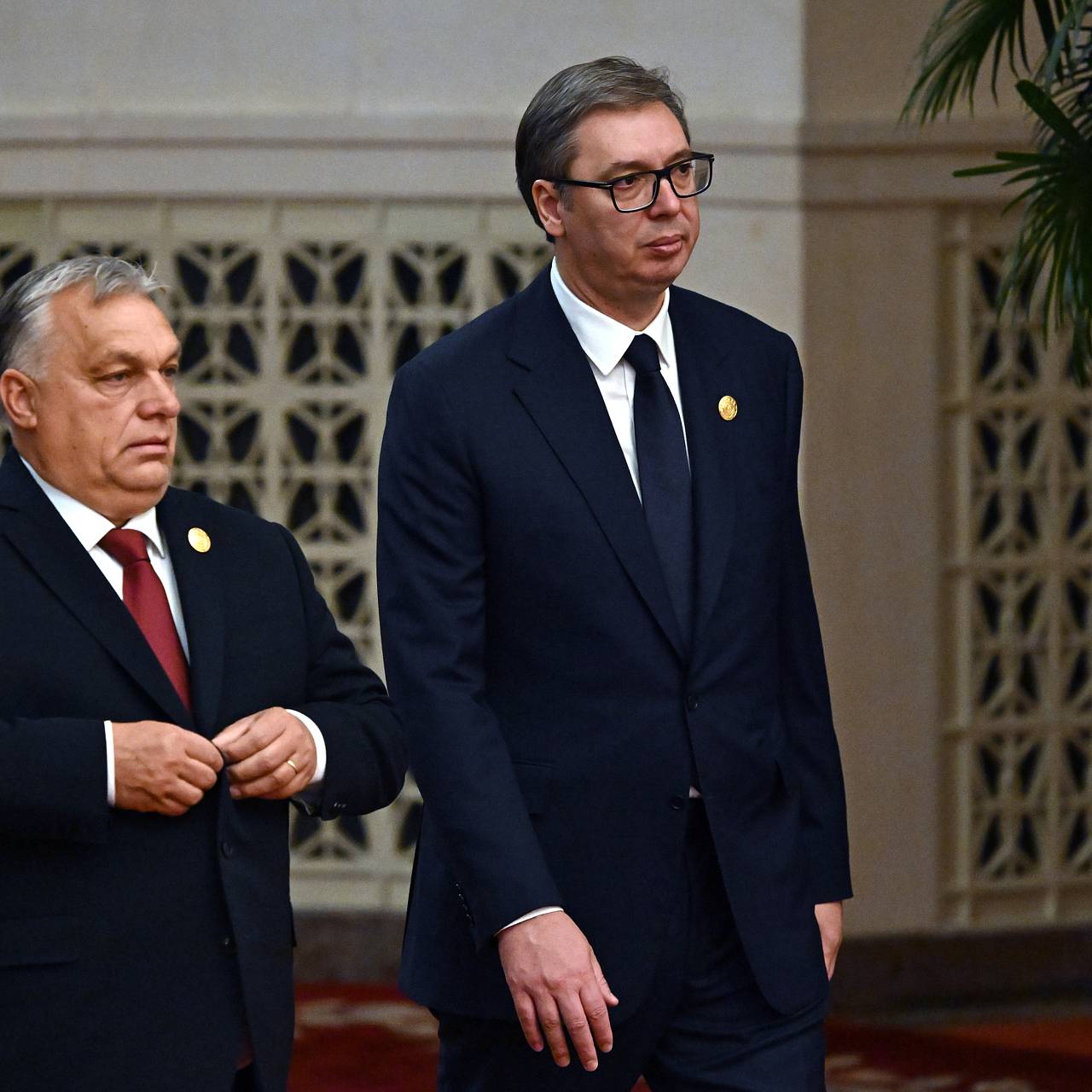 Фото: РИА Новости / Григорий Сысоев