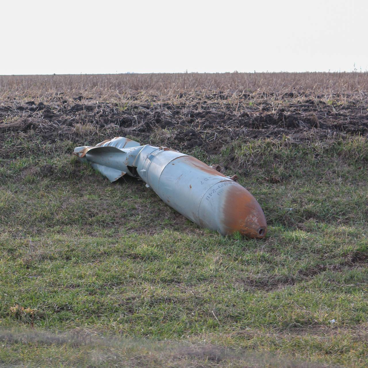 Фото: Global Look Press