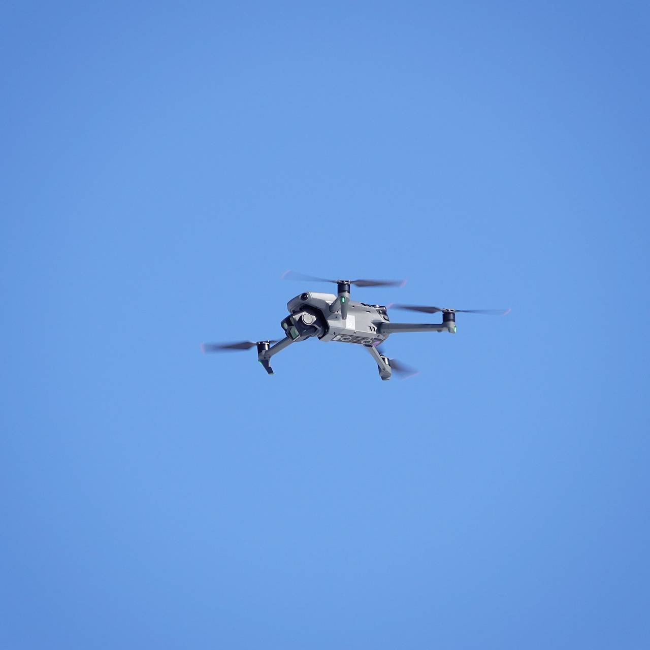 Фото: Cfoto / Global Look Press