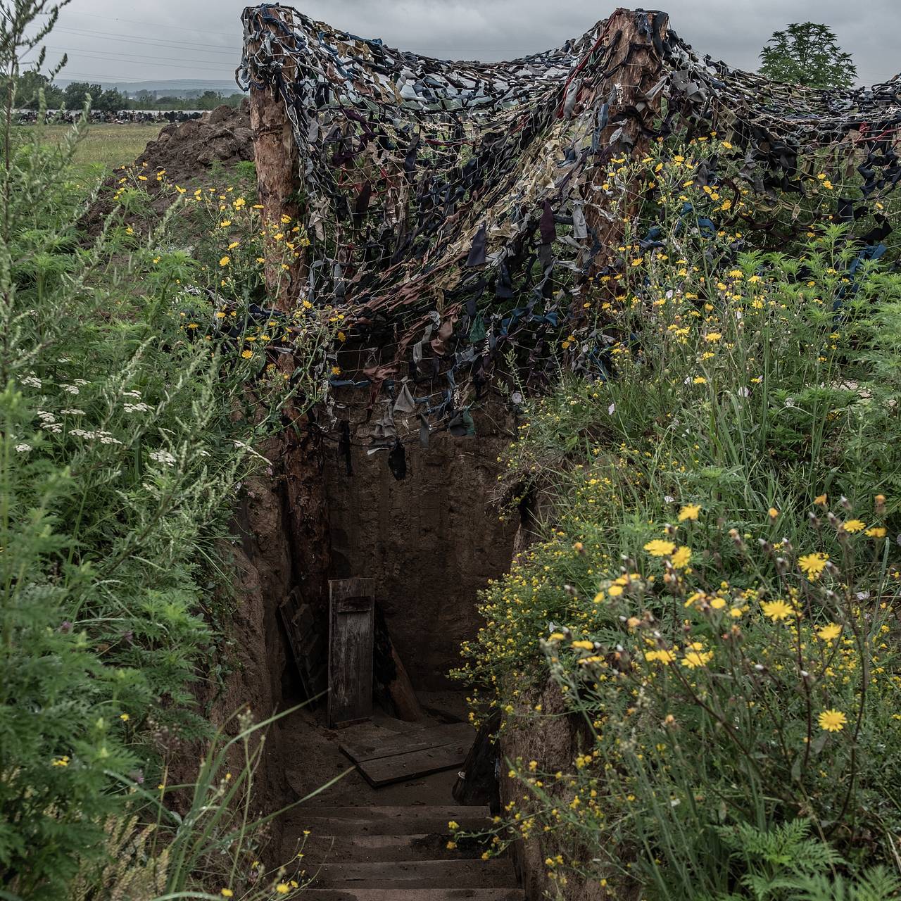 Фото: Sadak Souici / Globallookpress.com