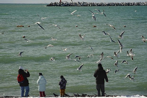 Вводная картинка