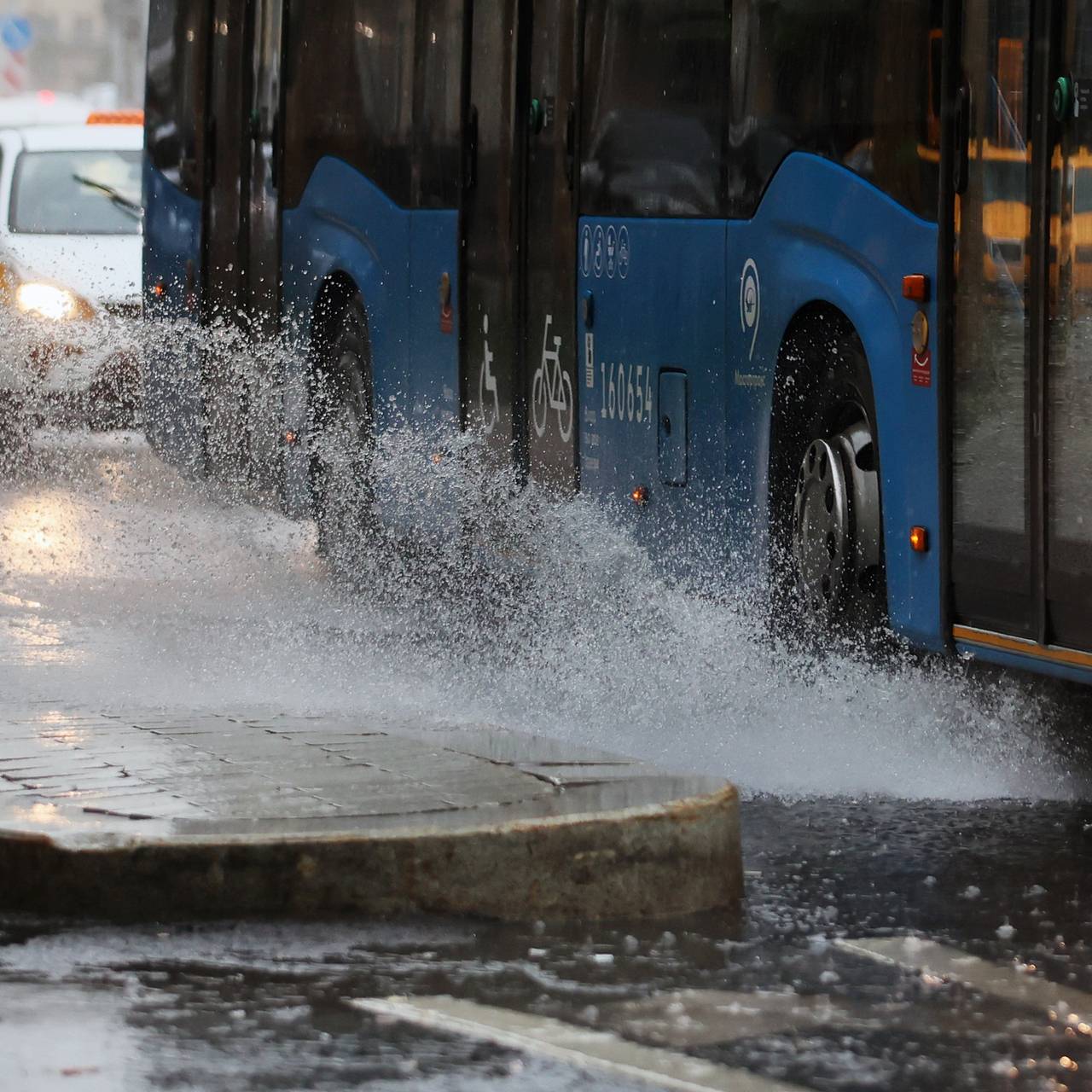 Фото: Виталий Белоусов / РИА Новости