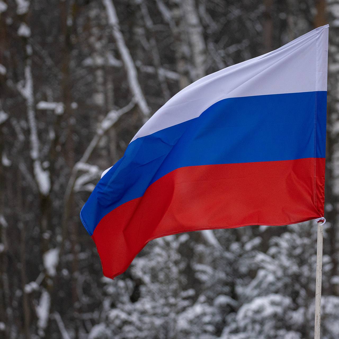 Фото: Sergey Elagin / Business Online / Global Look Press