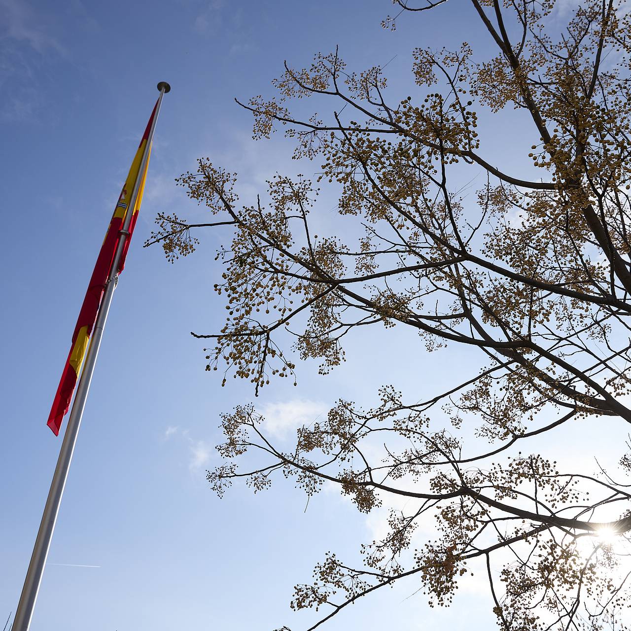 Фото: Keystone Press Agency / Global Look Press