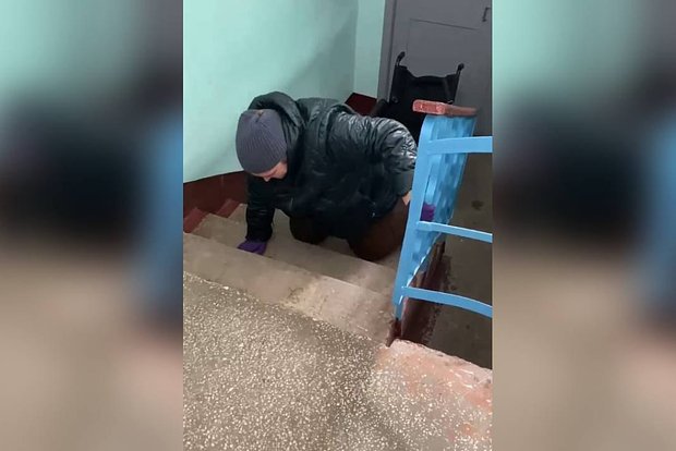 Вводная картинка