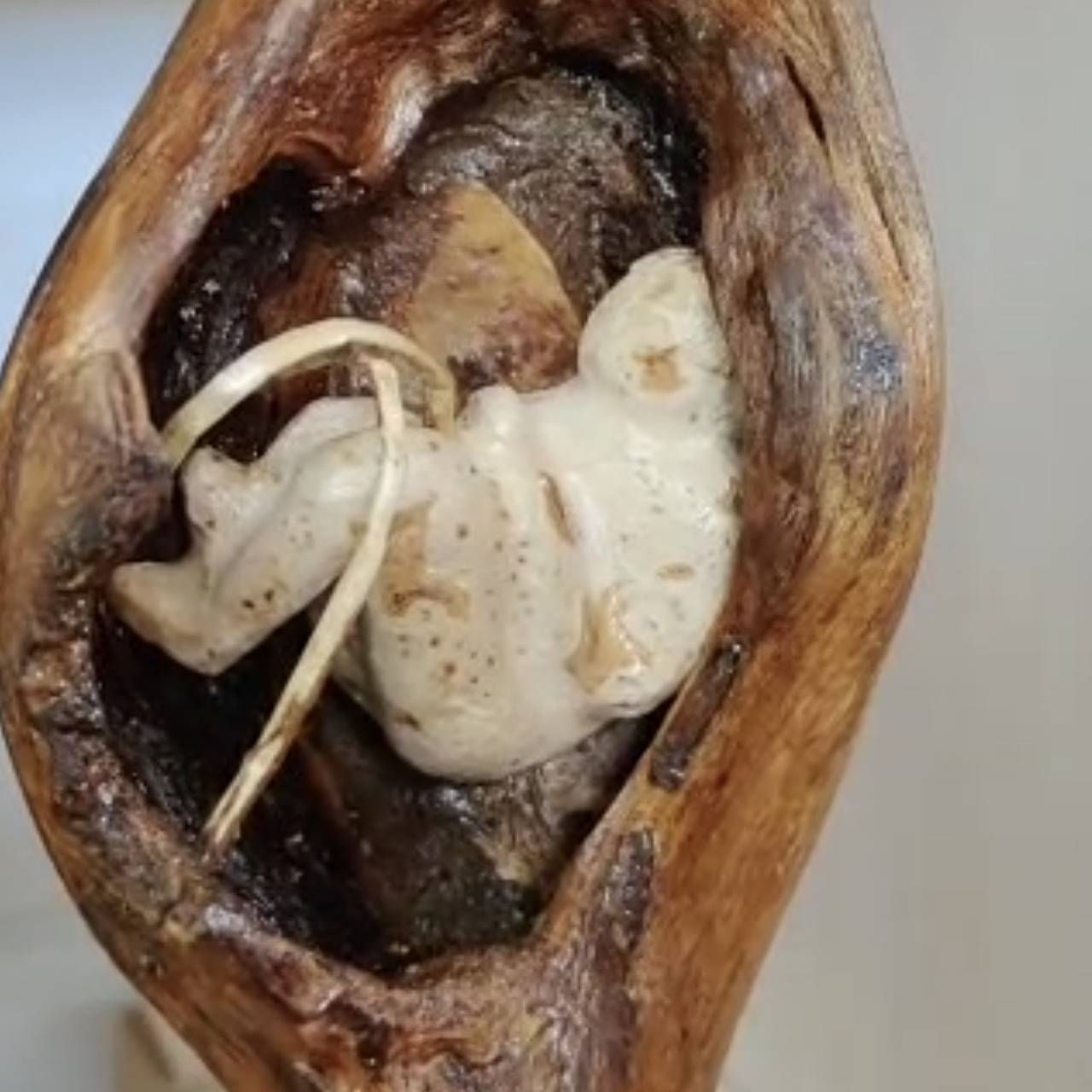 Кадр: ЯКУТИЯ24