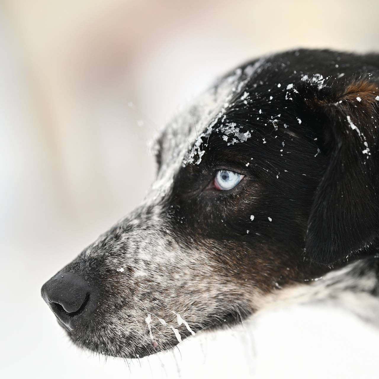 Фото: Алексей Мальгавко / РИА Новости