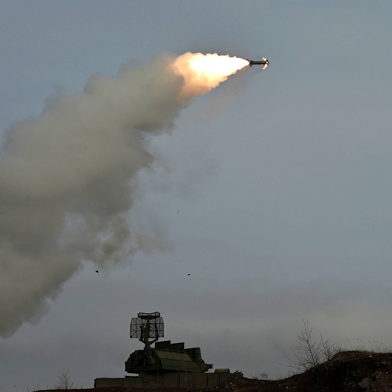 Фото: Евгений Биятов / РИА Новости