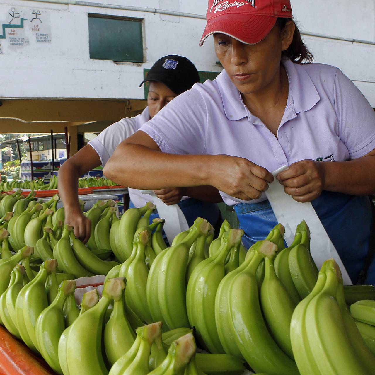 Фото: Guillermo Granja / Reuters