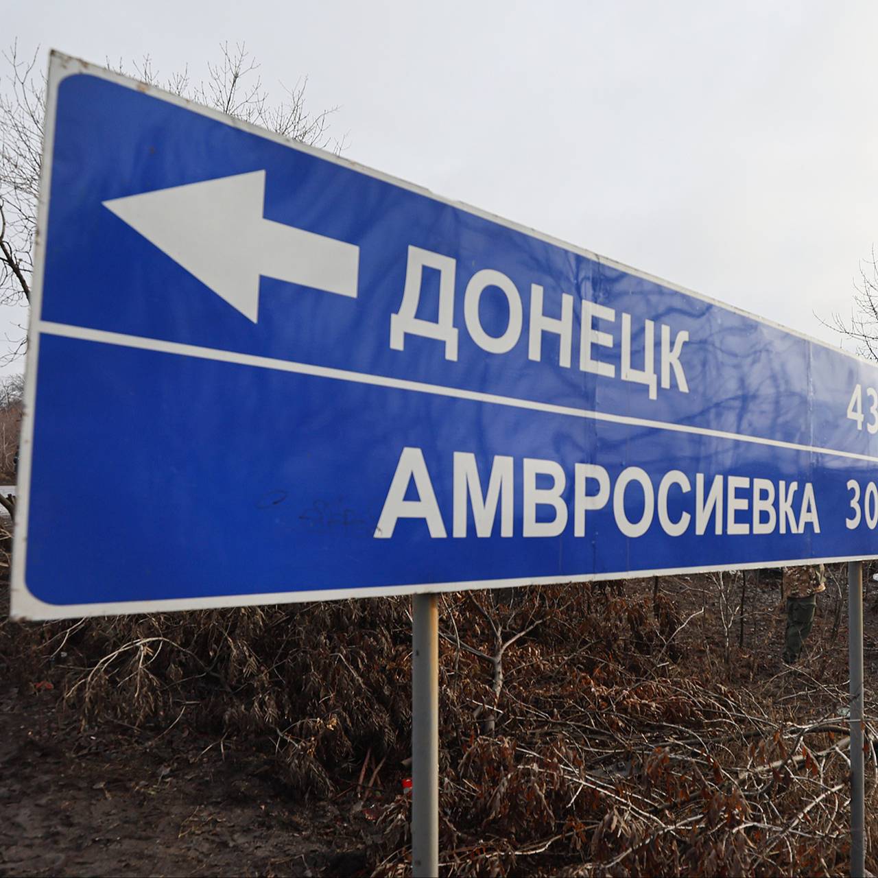 Фото: Дмитрий Ягодкин  ТАСС 