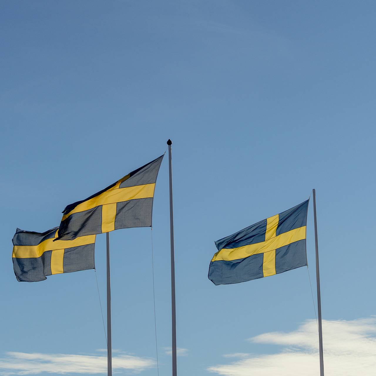 Фото: Hans Ott / Unsplash