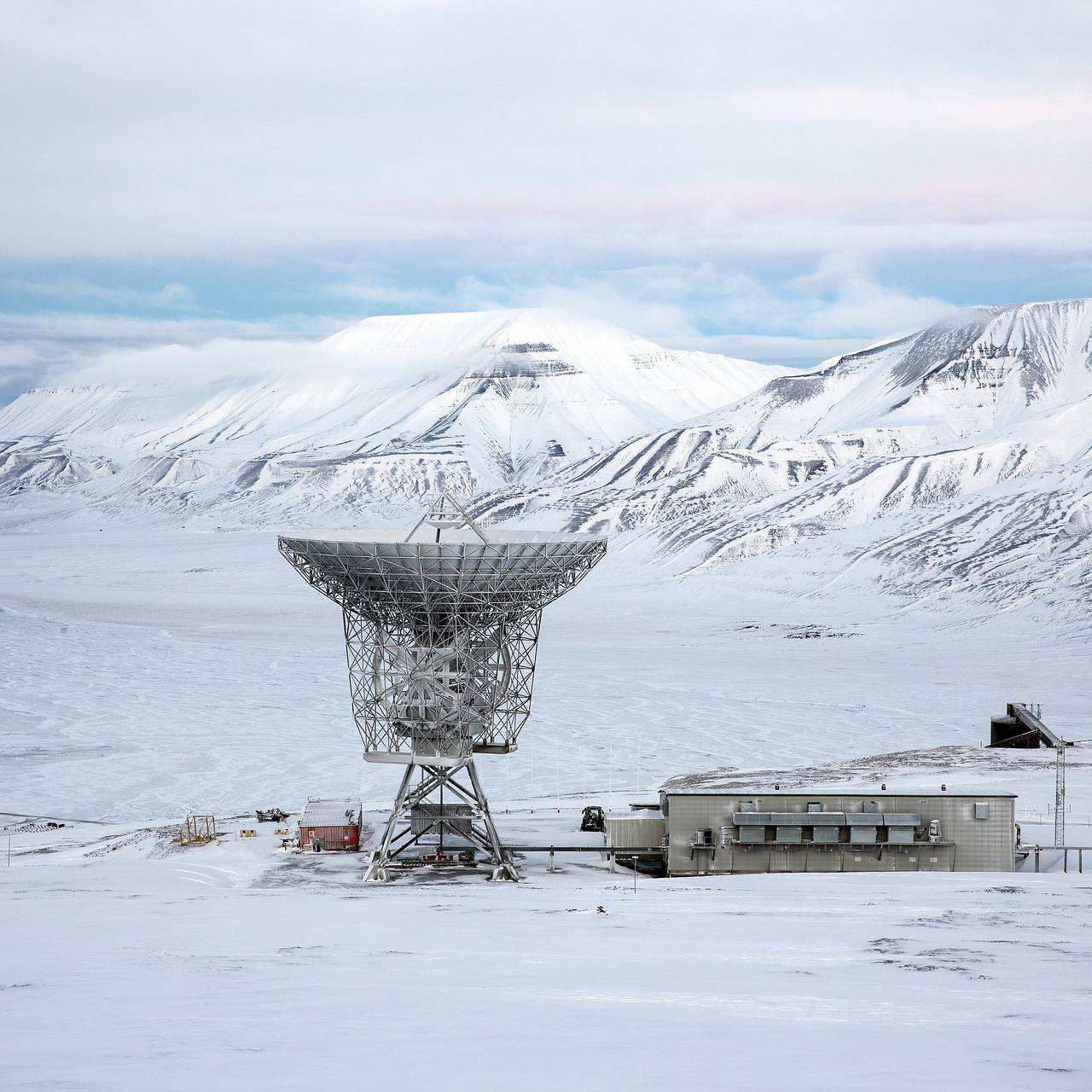 Фото: Anna Filipova / Reuters