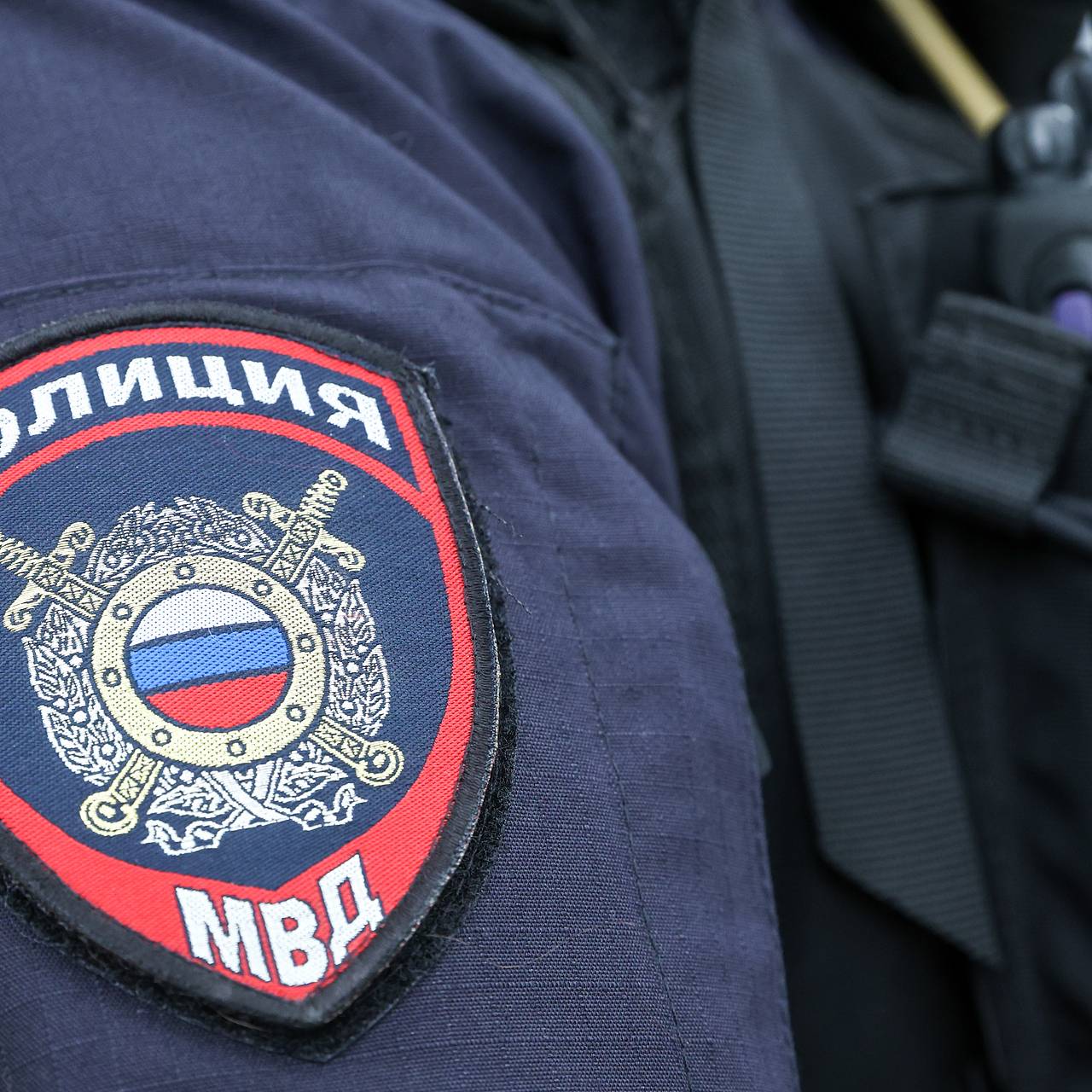 Фото: Petrov Sergey / Globallookpress.com