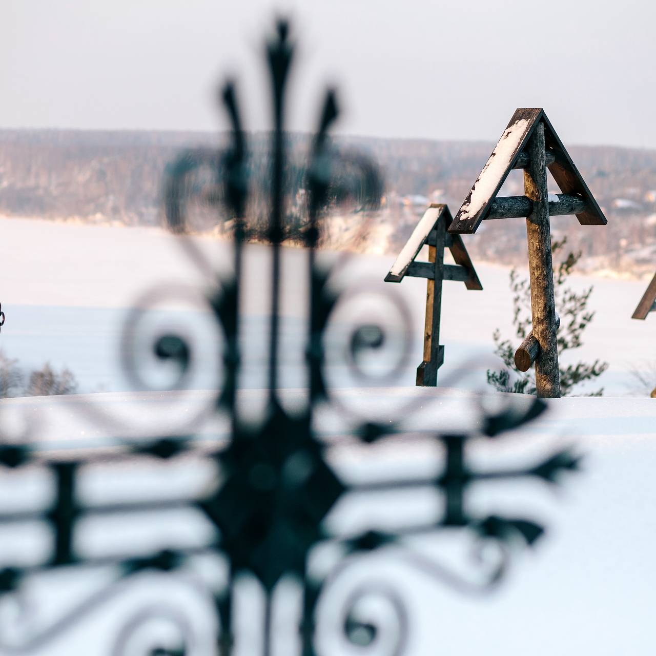 Фото: Варвара Гертье / РИА Новости