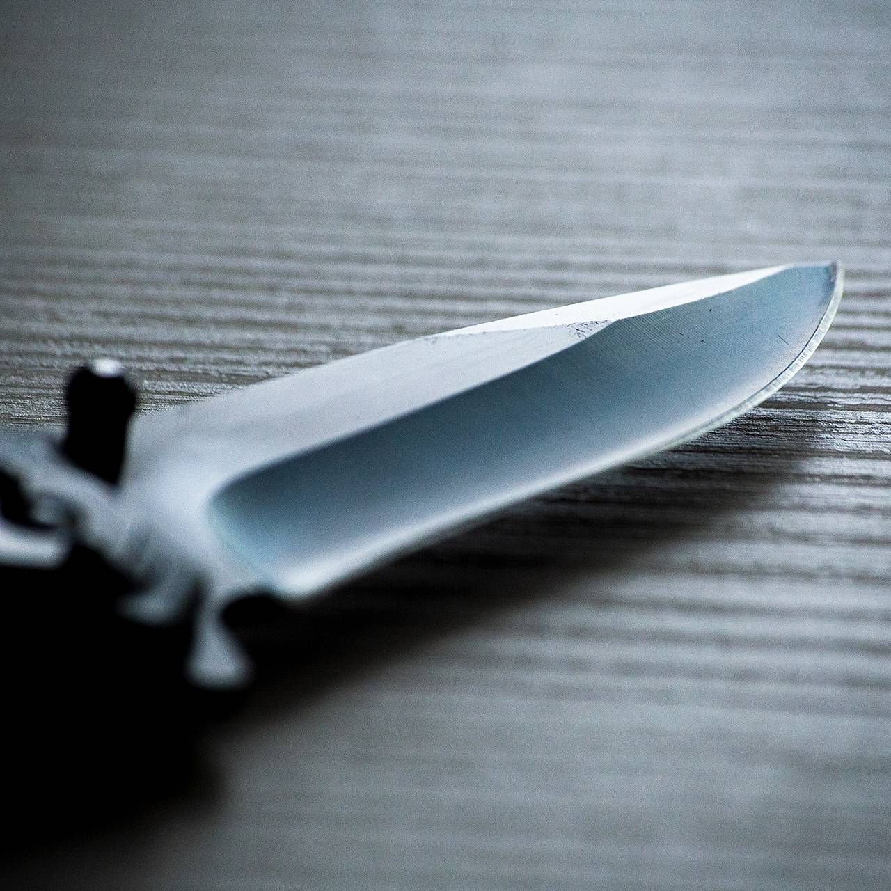 Фото: Кирилл Пономарев / «Лента.ру»