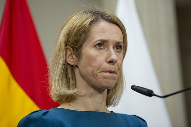 https://icdn.lenta.ru/images/2025/04/23/00/20250423000705713/owl_detail_620_26260bf506ca4f9ce00160f3d60439e3.jpg