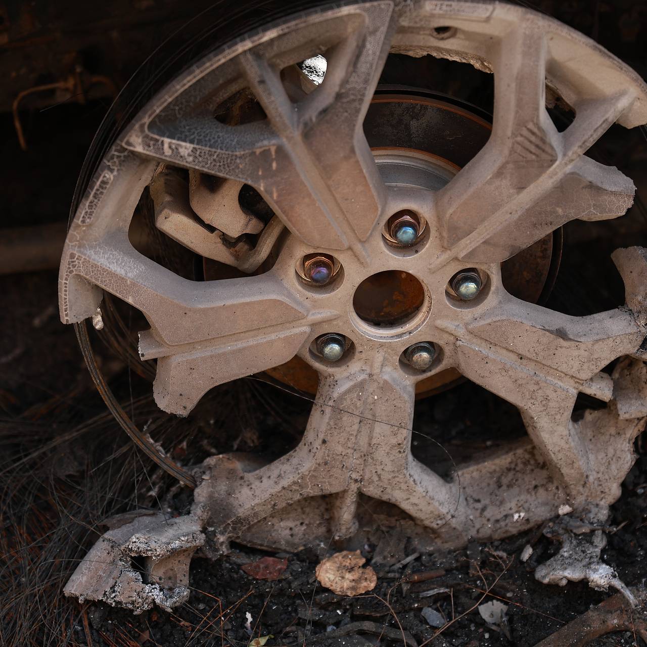 Фото: Isaev Aslan / Globallookpress.com